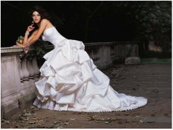 画像1: LJプリンセス ビスチェ 舞台 ウェディングドレス オーダー無料 結婚式 挙式 ウェディング トレーン　海外