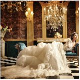 画像: LJオーダー無料 バッスル 刺繍ウェディングドレス7点お姫結婚 	高品質　ＭＵＥスタイル　海外挙式