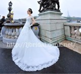 画像:  LJブライダル綺麗ウェディングドレス海外結婚式袖タイプトレーン 声楽二次会結婚式挙式 仮面舞踏会	
