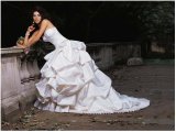 画像: LJプリンセス ビスチェ 舞台 ウェディングドレス オーダー無料 結婚式 挙式 ウェディング トレーン　海外